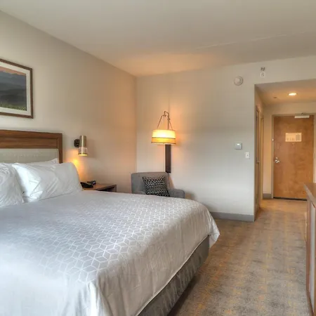 Holiday Inn & Suites Pigeon Forge Convention Center By Ihg-3