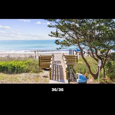 "Seas The Day" At St Clements-3