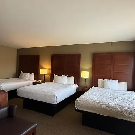 Vista Suites Near Island And Leconte Convention Center-3