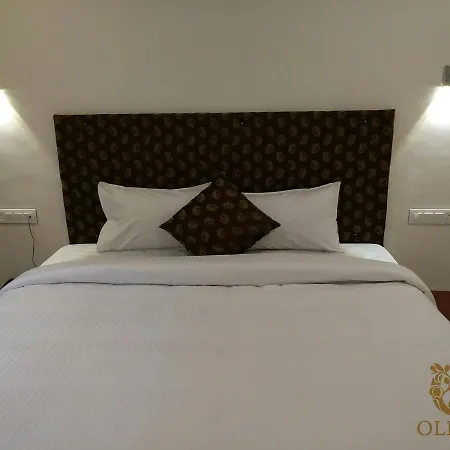 Olives Pleasant Stays-3