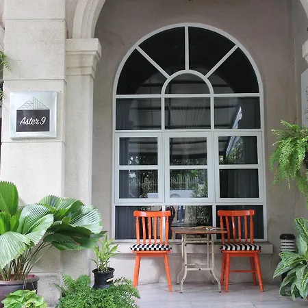 Aster 9 House-2