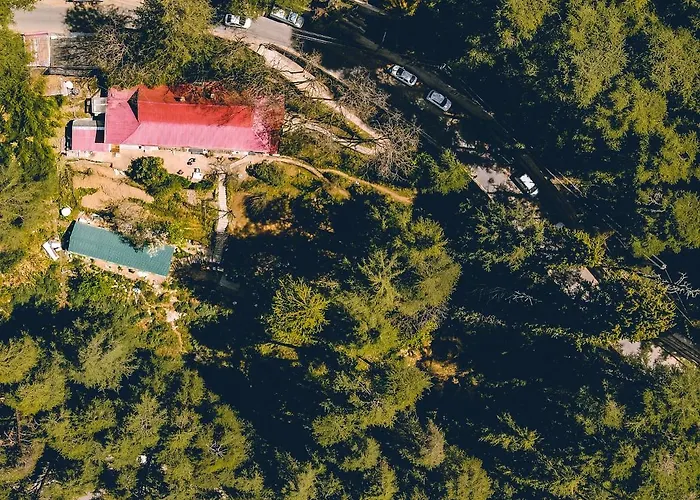 Seclude Shimla, Taraview Villa