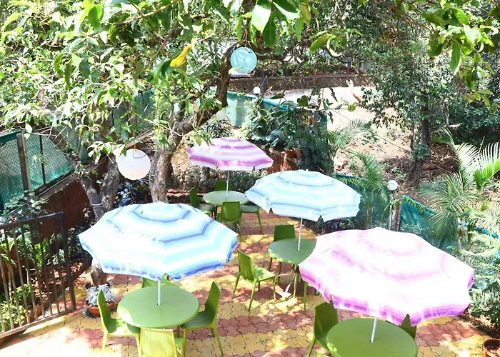 Neuaura Stays Mahabaleshwar