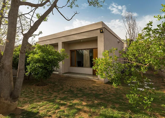 Stayvista The Owl House: Hillside Villa with Terrace and Lawn Jaipur