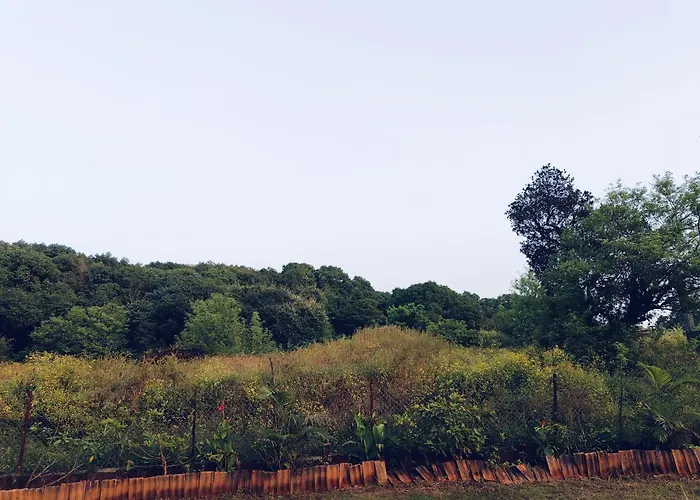 Laforesta By Mahabaleshwar Stay