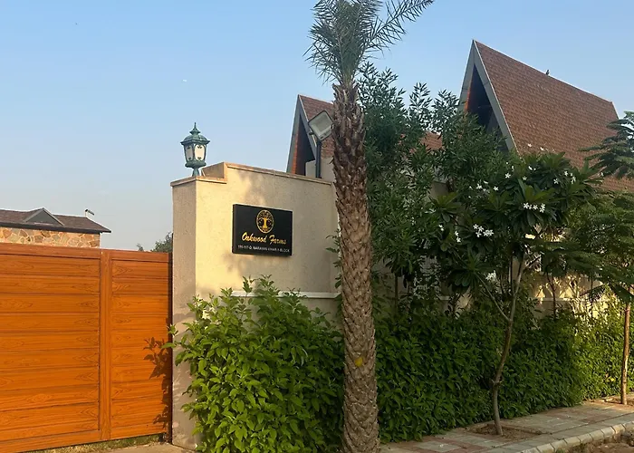 Elivaas 7Bhk Oakwood Manor With Pools & Lush Garden Villa Jaipur