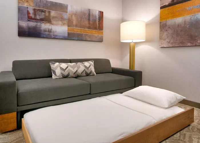 Springhill Suites By Marriott Colorado Springs North/Air Force Academy Gleneagle