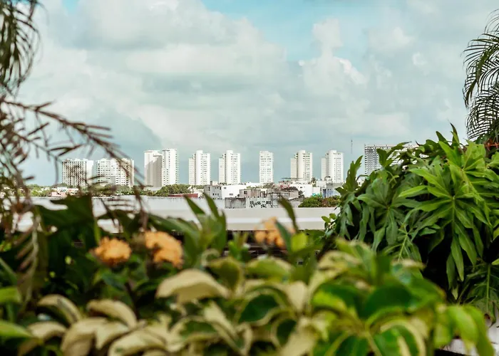 Xoza Hotel Urban Escape Cancun