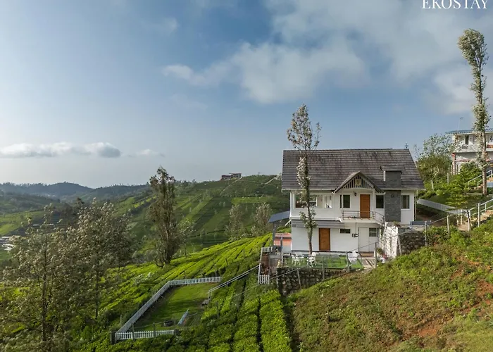 Eko Stay - Woodside Ivy Ooty