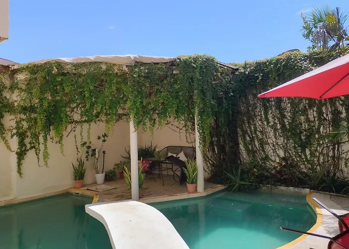 Bed And Breakfast Pecari Cancun