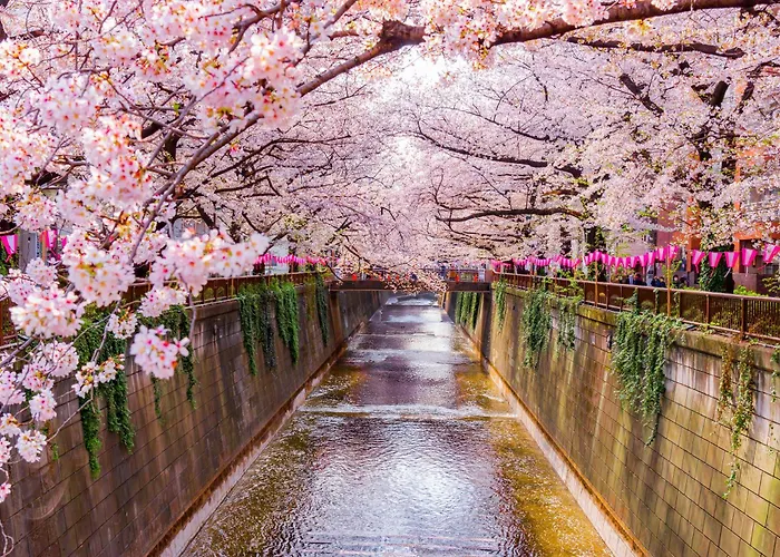 The Westin Tokyo Hotel