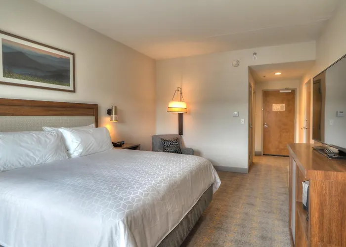 Holiday Inn & Suites Pigeon Forge Convention Center By Ihg