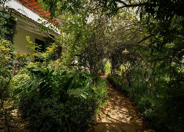 The Tamarillo Bed & Breakfast Ooty