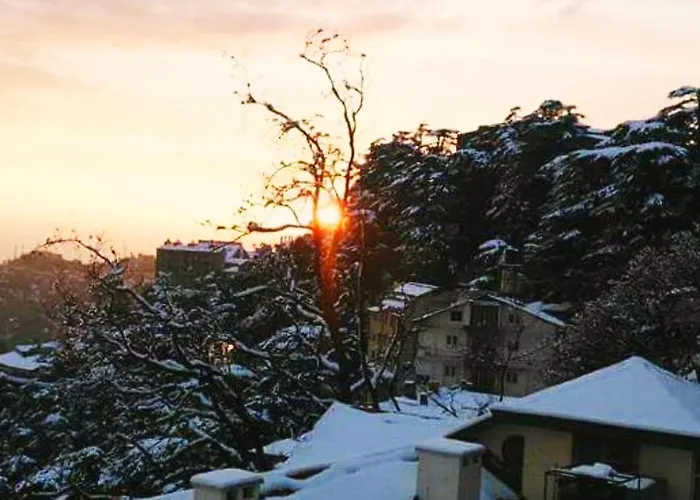 The Thistle Lodge Shimla